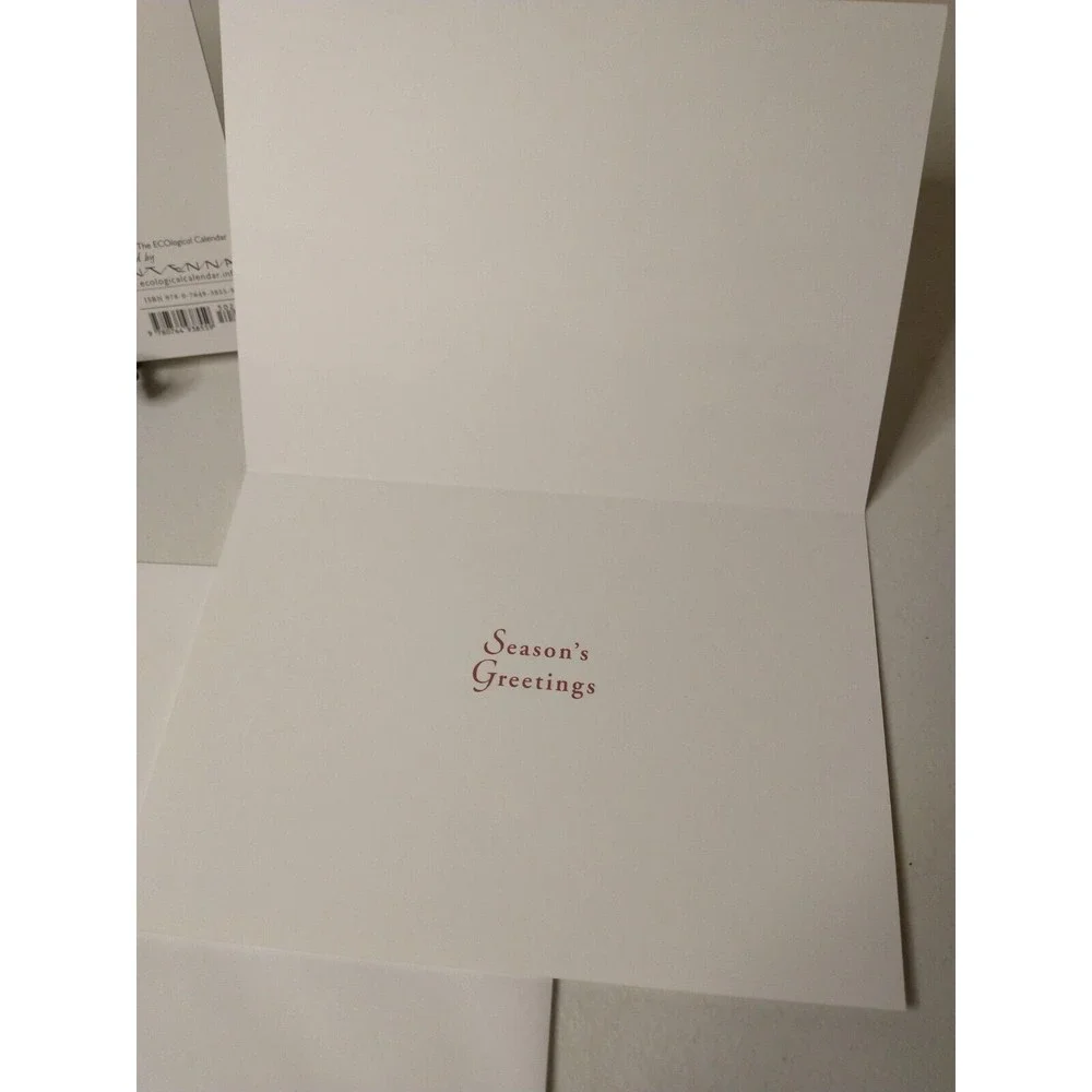 Pomegranate Holiday Cards Celeste Winter Ecological Calendar By Antenna Set of 2